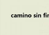 camino sin fin什么意思（camino）