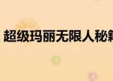 超级玛丽无限人秘籍（永远的超级玛丽秘籍）