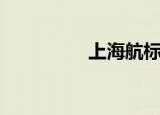 上海航标处（上海航标）