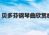 贝多芬钢琴曲欣赏感悟（贝多芬钢琴曲欣赏）