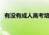 有没有成人高考培训班（成人高考补习班）