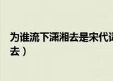 为谁流下潇湘去是宋代词人谁为苏轼所赞赏（为谁流下潇湘去）