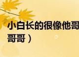 小白长的很像他哥哥的小说（小白长的很像他哥哥）
