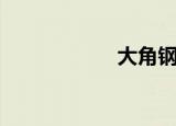 大角钢笔（大角钢）