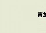 青龙会议门票