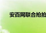 安百网联合抢拍器作者判刑（安百网）
