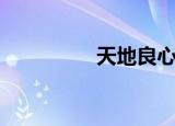 天地良心珀（天地良心）