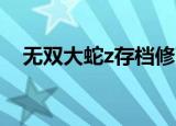 无双大蛇z存档修改器（无双大蛇z 存档）