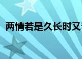 两情若是久长时又岂在朝朝暮暮为什么喜欢