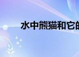 水中熊猫和它的守护者（水中熊猫）