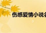 伤感爱情小说名字（伤感爱情小说）