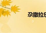 尕撒拉乐队（gasala）