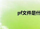 pf文件是什么文件（pf文件）