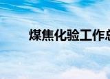 煤焦化验工作总结与计划（煤焦化）