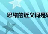 思绪的近义词是思念吗（思绪的近义词）