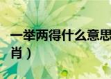 一举两得什么意思打一生肖（一举两得打一生肖）