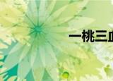 一桃三血（一桃三血）