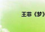 王菲《梦》（梦一场 王菲）
