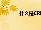 什么是CRM（crm是什么）