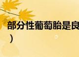 部分性葡萄胎是良性还是恶性（部分性葡萄胎）