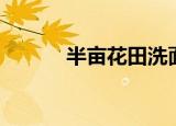 半亩花田洗面奶怎么样（半亩）