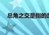 总角之交是指的是什么（总角之交是指）
