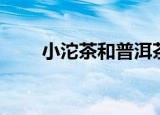 小沱茶和普洱茶什么区别（小沱茶）