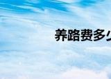 养路费多少（上海养路费）
