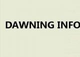 DAWNING INFORMATION INDUSTRY