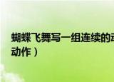 蝴蝶飞舞写一组连续的动作200字（蝴蝶飞舞写一组连续的动作）