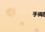 手阀图片（手阀）