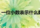 一位小数表示什么数字（一位小数表示什么）