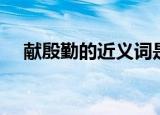 献殷勤的近义词是什么（殷勤的近义词）