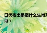 日伏夜出是指什么生肖开过什么数字（日伏夜出是指什么生肖）