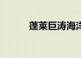 蓬莱巨涛海洋工程重工有限公司