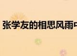 张学友的相思风雨中歌词（相思风雨中歌词）