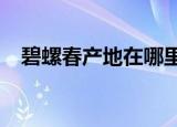 碧螺春产地在哪里?（碧螺春产地在哪里）