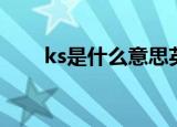 ks是什么意思英语（ks是什么意思）