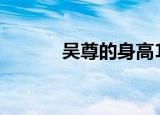 吴尊的身高166（吴尊的身高）