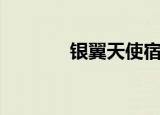 银翼天使宿语昂（银翼天使）
