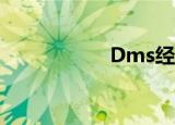 Dms经销商管理系统