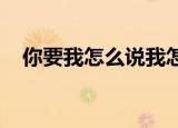 你要我怎么说我怎么做怎么能不难过歌词