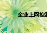 企业上网控制软件（企业上网）