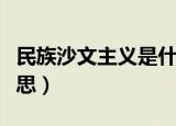 民族沙文主义是什么意思（沙文主义是什么意思）