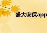 盛大密保app叫什么（盛大密保）