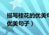 描写桂花的优美句子短句15字（描写桂花的优美句子）