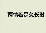 两情若是久长时 又岂在朝朝暮暮的作者