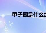 甲子园是什么级别（甲子园是什么）