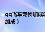 qq飞车宠物加成怎么获得（qq飞车宠物经验加成）