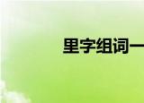 里字组词一年级（里字组词）
